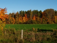23216CrLe - Autumn colours from the Taunton Road bridge over Duffins Creek.JPG